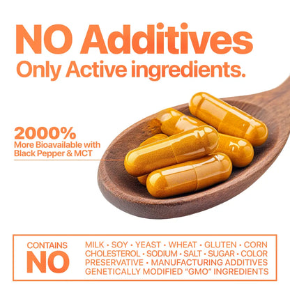 Kurkuma Curcumin 95 Wellnure