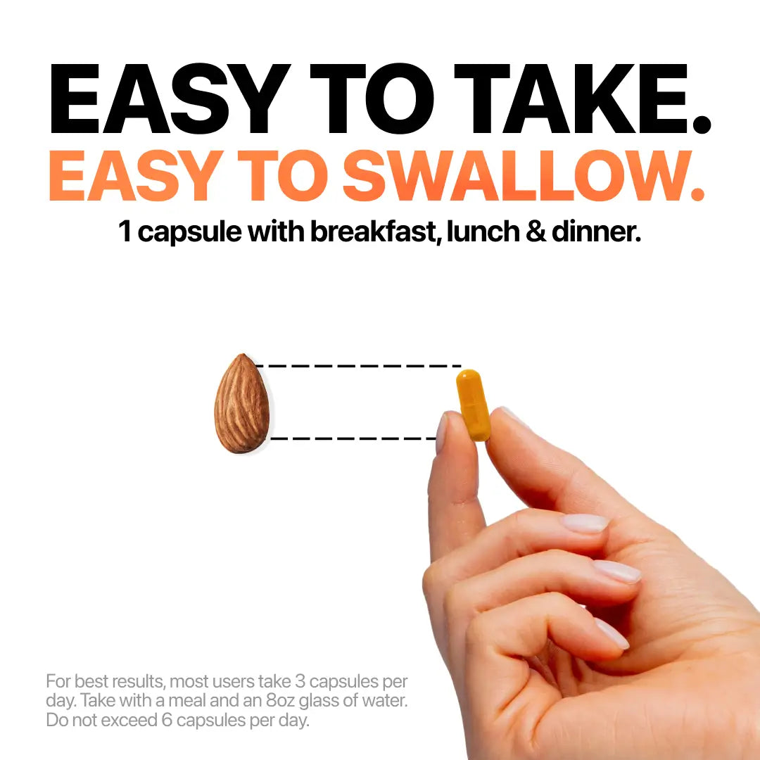 Kurkuma Curcumin 95 Wellnure